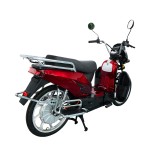 electric vehicles ladyboy head bumblebee front pocket lead-acid battery/lithium battery electric vehicles